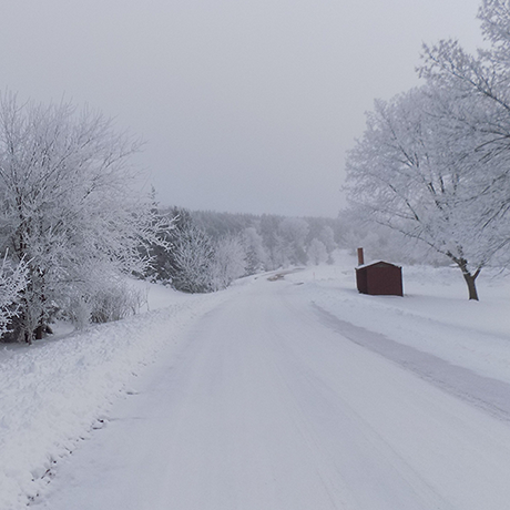 Snowy Path Artist: Lindsey